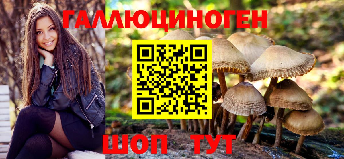 Псилоцибиновые грибы Cubensis Семилуки