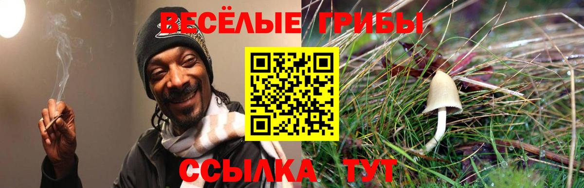 наркошоп  Вход с VPN  Семилуки  Галлюциногенные грибы Psilocybine cubensis  Галлюциногенные грибы GOLDEN TEACHER 